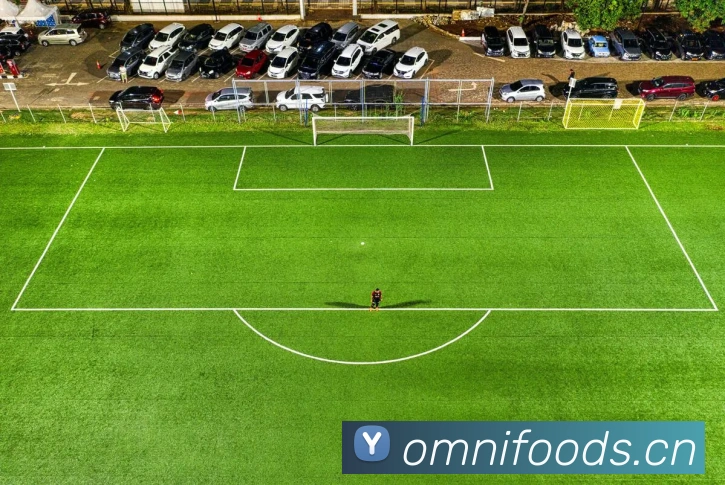 九游入口首页登录网平台生态图